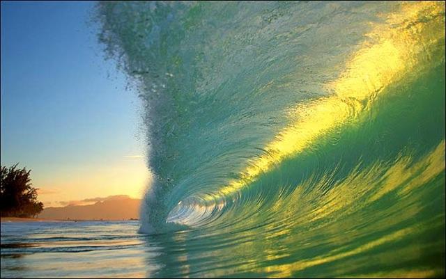 Sun glints off wave - Clark Little/SWNS